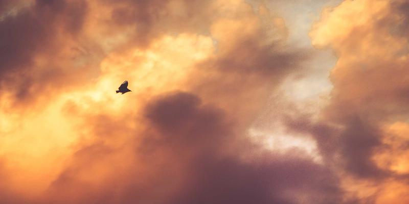 E出名新路径：构建品牌声音识别系统，用听觉资产引爆社交媒体营销