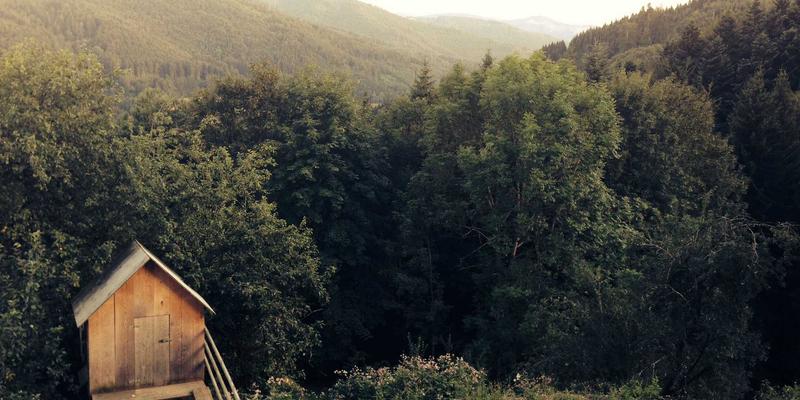 中小企业如何巧用预算实现品牌突围：E出名网络营销与品牌建设成本控制指南