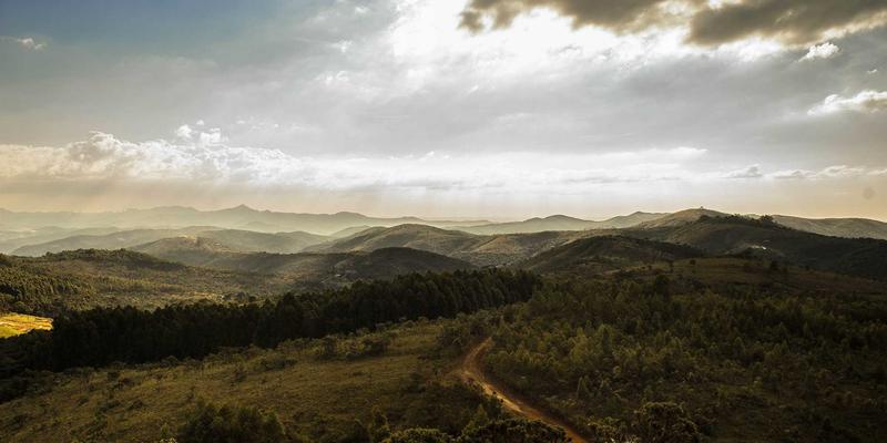 从流量到忠诚：数字时代品牌资产管理与长期价值提升的营销战略