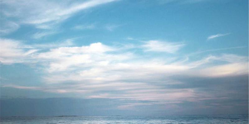 可持续品牌建设新范式：如何通过内容营销与网络营销将环保责任融入品牌核心