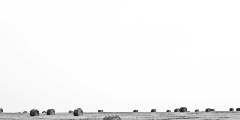 品牌叙事构建：如何用故事在社交媒体与SEO中塑造有灵魂的品牌内核