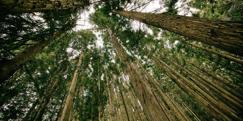 品牌焕新（Rebranding）全流程策划：如何结合内容营销与社交媒体营销实现成功转型