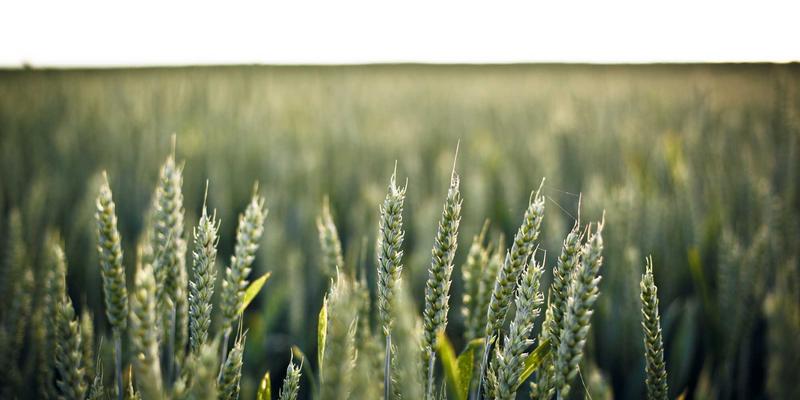 品牌策划28:内容营销如何驱动品牌从E出名到深度增长