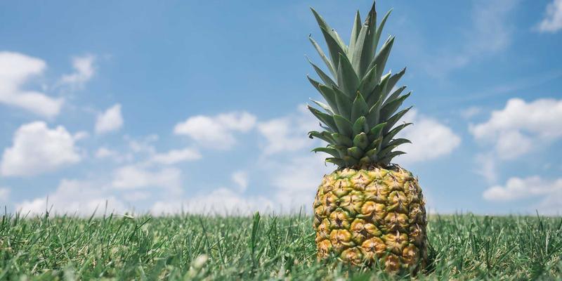 品牌策划89:融合E出名战略与线上推广的营销新范式