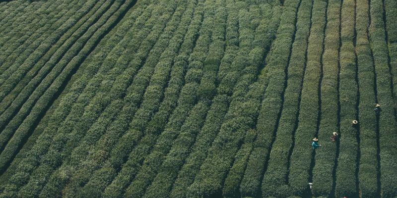 品牌策划93：数字时代下营销战略与品牌策划的融合之道