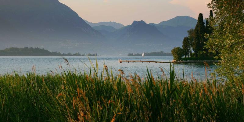 品牌策划入门：从品牌建设到线上推广的完整路径