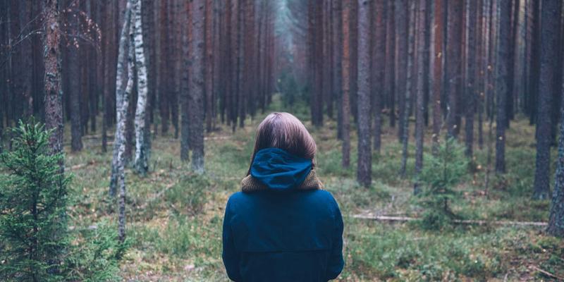 品牌策划实战指南：融合内容营销与社交媒体，实现从0到1的E出名