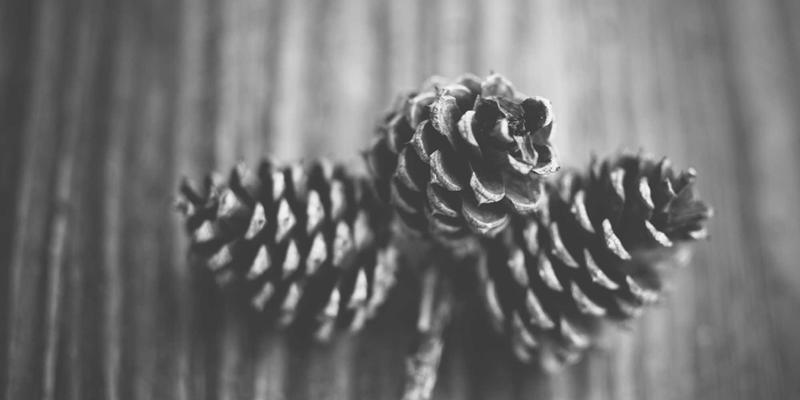 品牌策划新视角：如何用E出名打造高效营销战略与线上推广