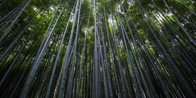 品牌策划的三大核心优势：如何通过数字营销与社交媒体构建持久品牌力