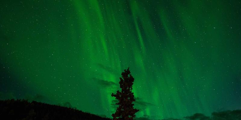 品牌策划评测：如何通过网络营销与内容营销打造高价值品牌