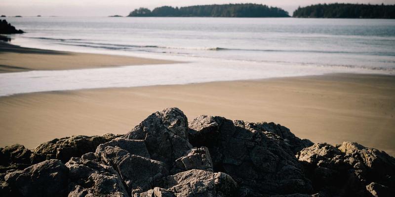 品牌联合营销（Co-branding）的策划法则与风险规避：提升营销战略与品牌策划的实战指南