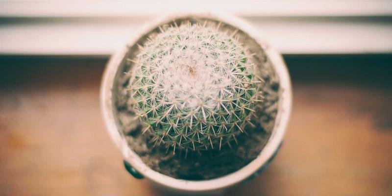 数字营销新趋势：如何通过线上推广将社会议题真诚融入品牌价值观，让品牌E出名