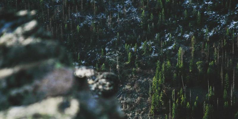 线上推广与社交媒体营销时代，如何建立品牌危机预警系统：从“E出名”到声誉长青