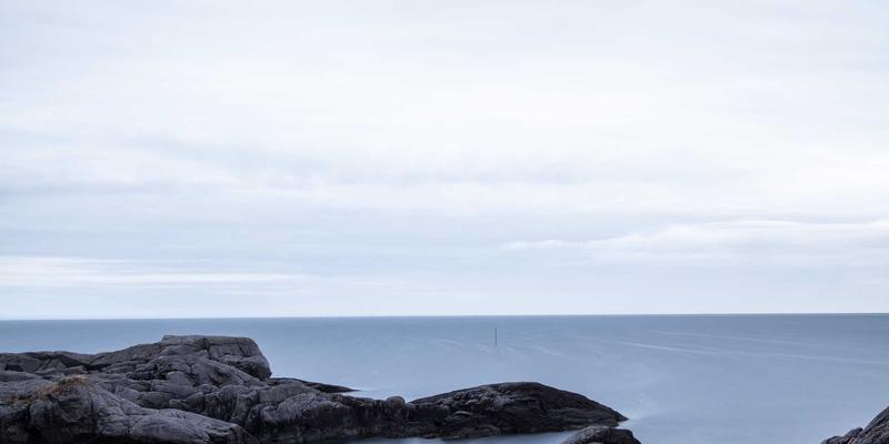 网络营销新战场：如何通过品牌声音识别策略E出名