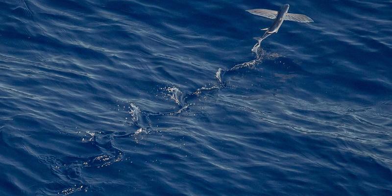 超越积分体系：如何通过品牌忠诚度计划构建深度用户关系，赋能线上推广与SEO